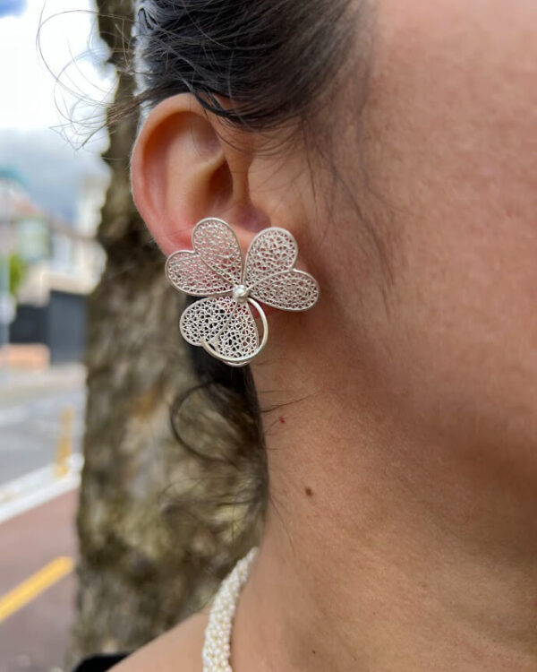 Aretes Brisa