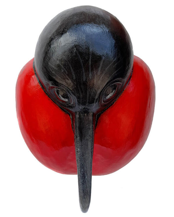 Máscara Fragata Galápagos