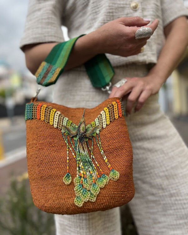 Shigra Colibrí
